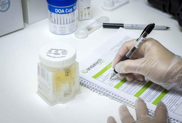 Drug Alcohol Testing Management Plan